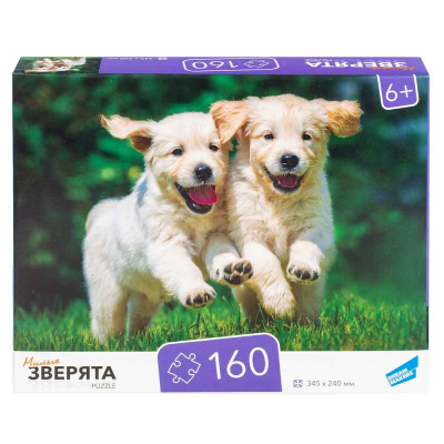 Пазл 160 Зверята Dream Makers RI1603 1